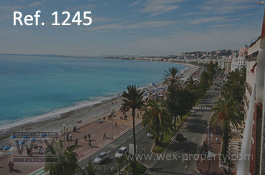    ():    ,    - REF. 1245 [ ''WEX PROPERTY'']