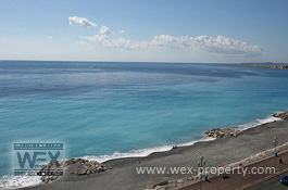    ():    ,    - REF. 1315 [ ''WEX PROPERTY'']