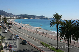    ():    ,    - REF. 1647 [ ''WEX PROPERTY'']