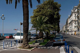    ():    ,    - Unique villa in Nice [ ''WEX PROPERTY'']