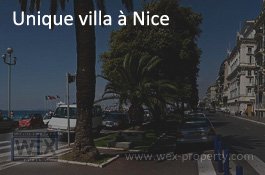    ():    ,    - Unique villa in Nice [ ''WEX PROPERTY'']