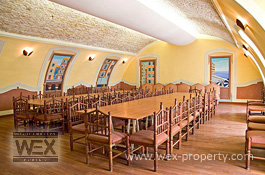    ():    ,    - Unique villa in Nice [ ''WEX PROPERTY'']
