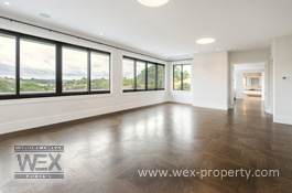     () - THE CROWN JEWEL OF COATESVILLE [ ''WEX PROPERTY'']