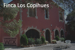    ():   ,     - FINCA LOS COPIHUES [ ''WEX PROPERTY'']